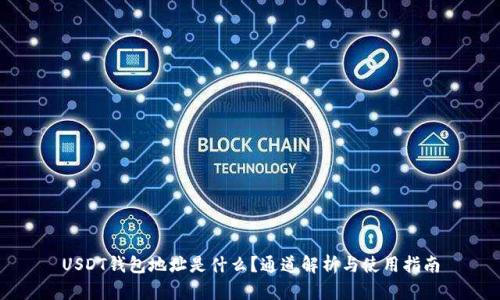 USDT钱包地址是什么？通道解析与使用指南