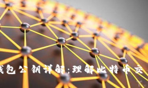 比特币钱包公钥详解：理解比特币交易的基础