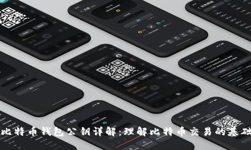 比特币钱包公钥详解：理解比特币交易的基础