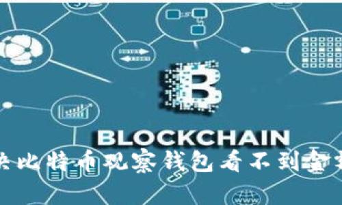 如何解决比特币观察钱包看不到金额的问题