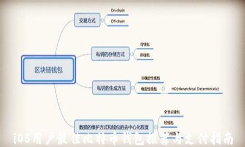 
iOS用户最佳比特币钱包推荐与支付指南