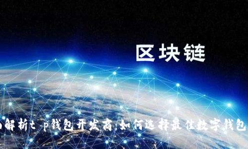全面解析t p钱包开发商：如何选择最佳数字钱包平台