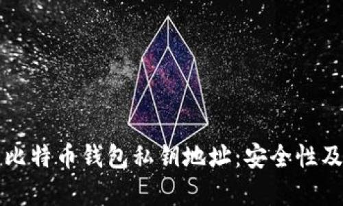 全面解析比特币钱包私钥地址：安全性及使用指南