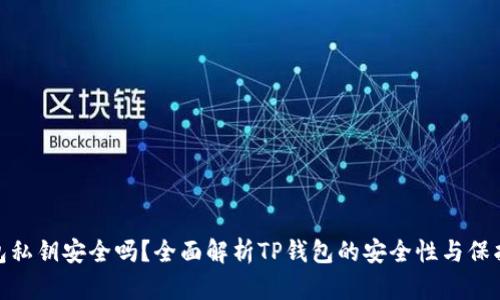 TP钱包私钥安全吗？全面解析TP钱包的安全性与保护措施