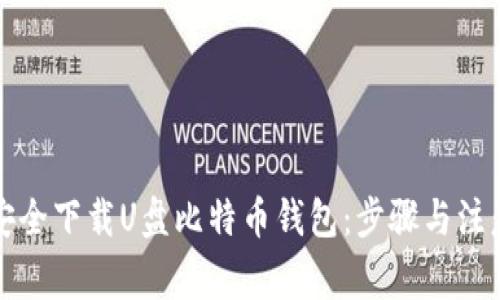 如何安全下载U盘比特币钱包：步骤与注意事项
