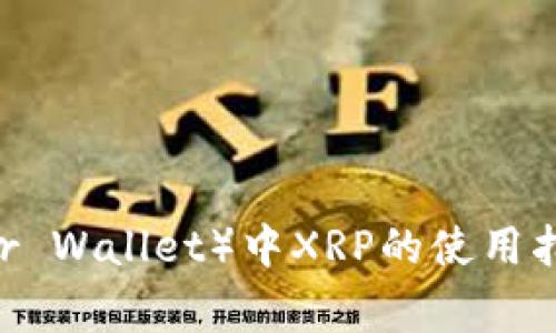雷达钱包（Ledger Wallet）中XRP的使用指南与安全性分析