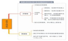如何选择和使用比特币钱包地址？