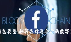 探索比特币钱包类型：如何选择适合你的数字资