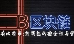 长期持有比特币：热钱包的安全性与管理技巧