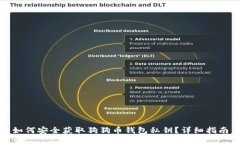 如何安全获取狗狗币钱包私钥？详细指南