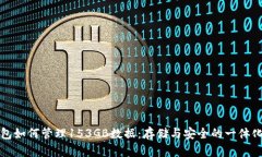 比特币钱包如何管理153GB数据：存储与安全的一体