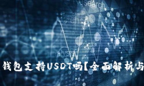 Token.im钱包支持USDT吗？全面解析与使用指南