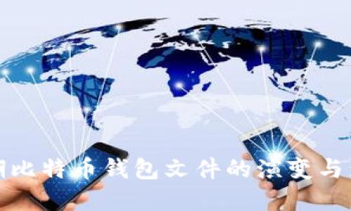 早期比特币钱包文件的演变与影响