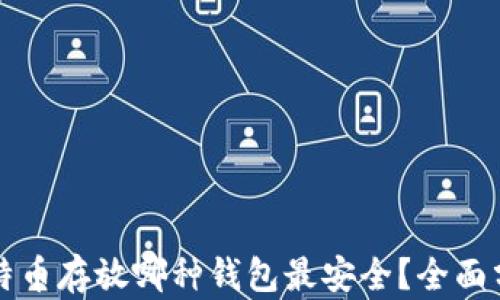 
比特币存放哪种钱包最安全？全面分析