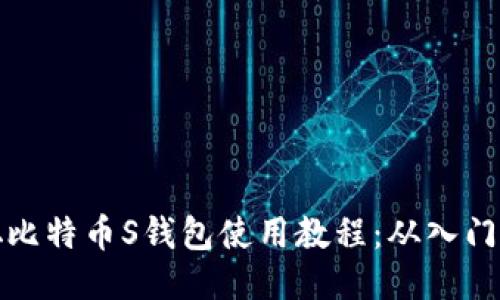 中本聪比特币S钱包使用教程：从入门到精通