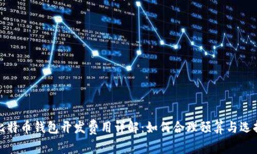 比特币钱包开发费用详解：如何合理预算与选择
