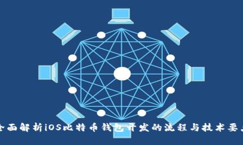 全面解析iOS比特币钱包开发的流程与技术要点