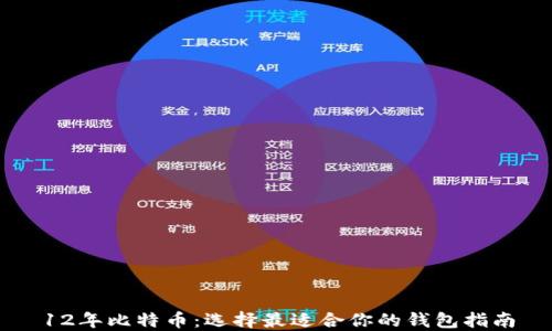 
12年比特币：选择最适合你的钱包指南