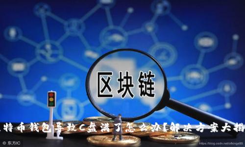 比特币钱包导致C盘满了怎么办？解决方案大揭秘