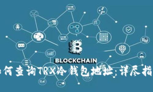 如何查询TRX冷钱包地址：详尽指南