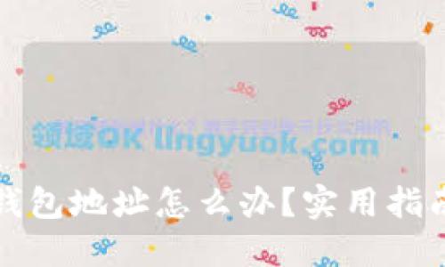 丢失比特币钱包地址怎么办？实用指南与解决方案