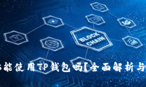 平板电脑能使用TP钱包吗？全面解析与使用指南