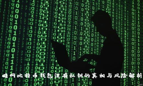 暗网比特币钱包没有私钥的真相与风险解析