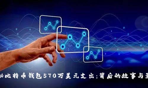 揭秘比特币钱包570万美元支出：背后的故事与影响