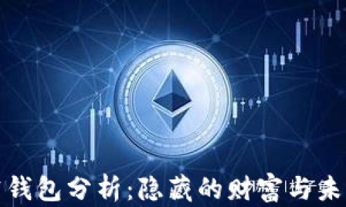 
比特币空钱包分析：隐藏的财富与未来的打造