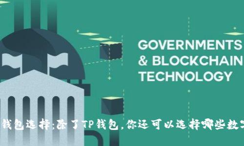 安全的钱包选择：除了TP钱包，你还可以选择哪些数字钱包？