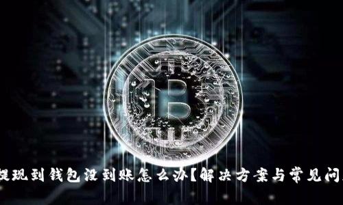 USDT提现到钱包没到账怎么办？解决方案与常见问题解析