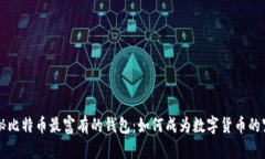 揭秘比特币最富有的钱包