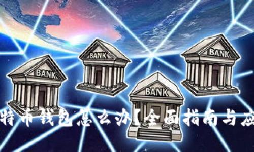 丢失比特币钱包怎么办？全面指南与应对策略