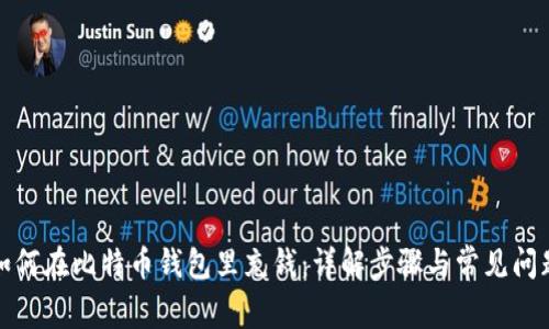 如何在比特币钱包里充钱：详解步骤与常见问题