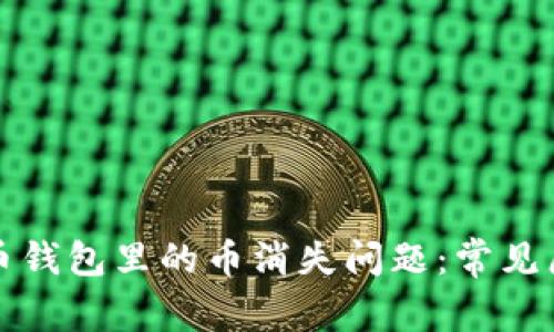 如何解决比特币钱包里的币消失问题：常见原因及解决方案
