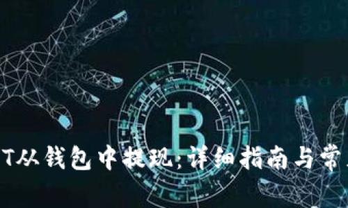 如何将USDT从钱包中提现：详细指南与常见问题解答