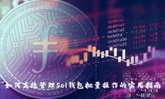 如何高效管理Sol钱包批量