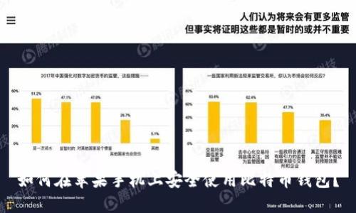 如何在苹果手机上安全使用比特币钱包？