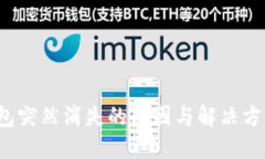  TP钱包突然消失的原因与