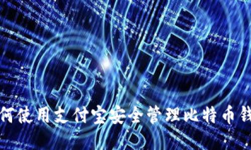 如何使用支付宝安全管理比特币钱包