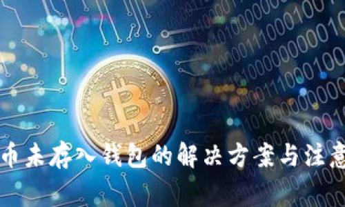 狗狗币未存入钱包的解决方案与注意事项