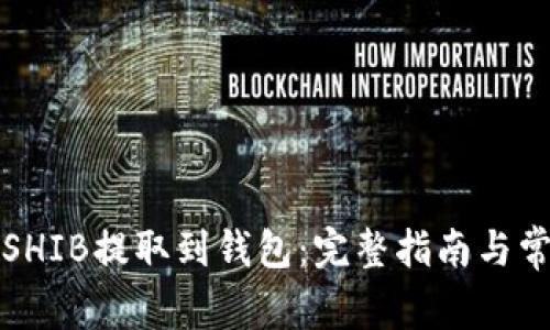 如何将SHIB提取到钱包：完整指南与常见问题