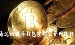 如何通过比特币钱包密码