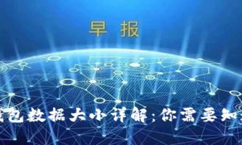 比特币钱包数据大小详解：你需要知道的一切