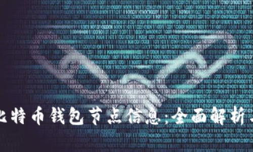 如何查看比特币钱包节点信息：全面解析与实用指南