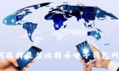 如何选择最佳比特币电子