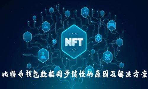 比特币钱包数据同步缓慢的原因及解决方案