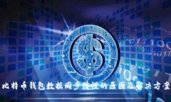 比特币钱包数据同步缓慢的原因及解决方案