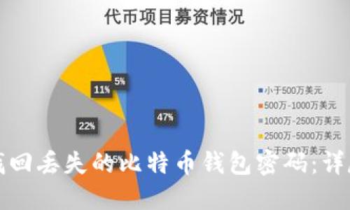 如何找回丢失的比特币钱包密码：详尽指南