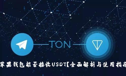 苹果钱包能否接收USDT？全面解析与使用指南